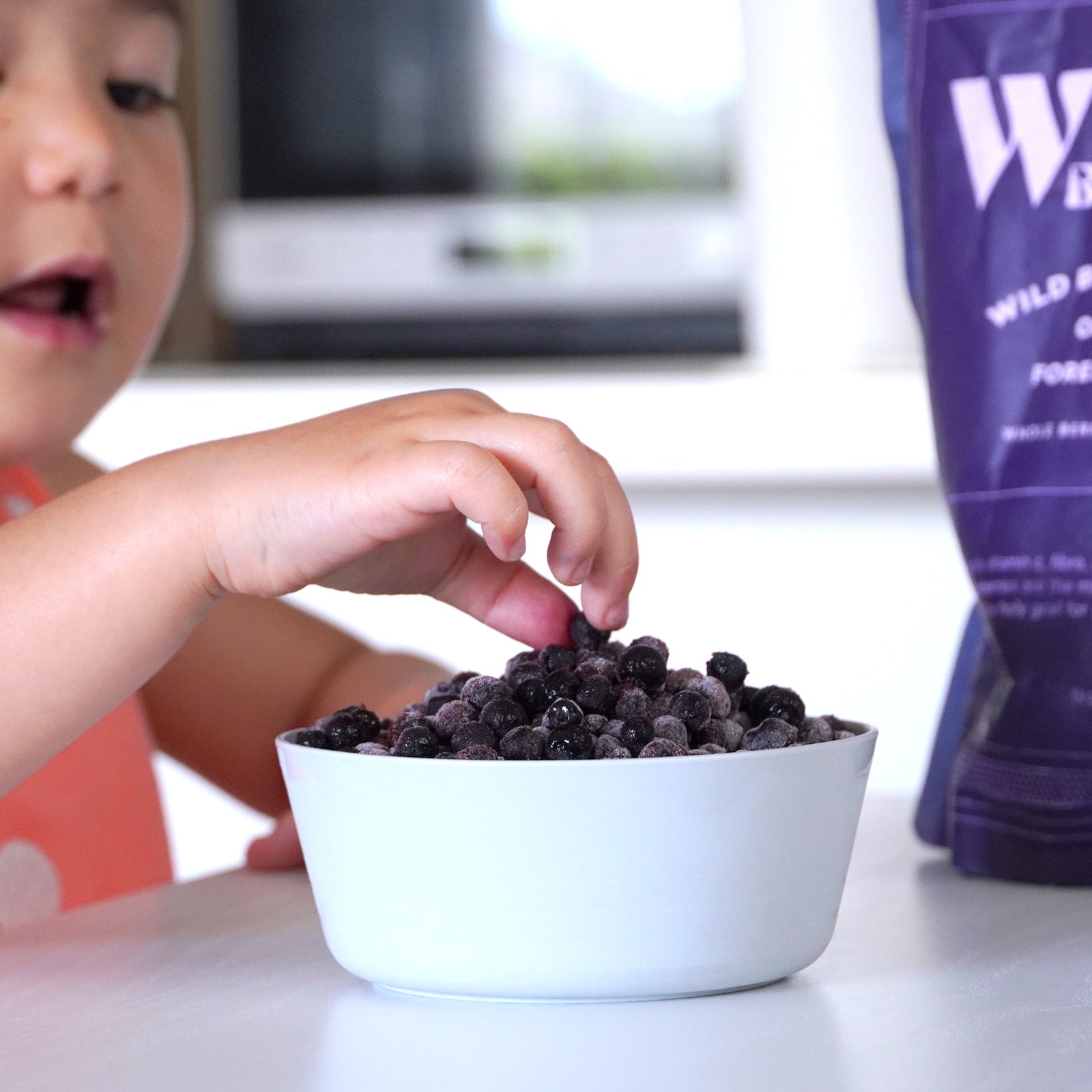 Certified Organic Frozen Forest-Picked Wild Blueberries from Sweden (1kg) - Horizon Farms