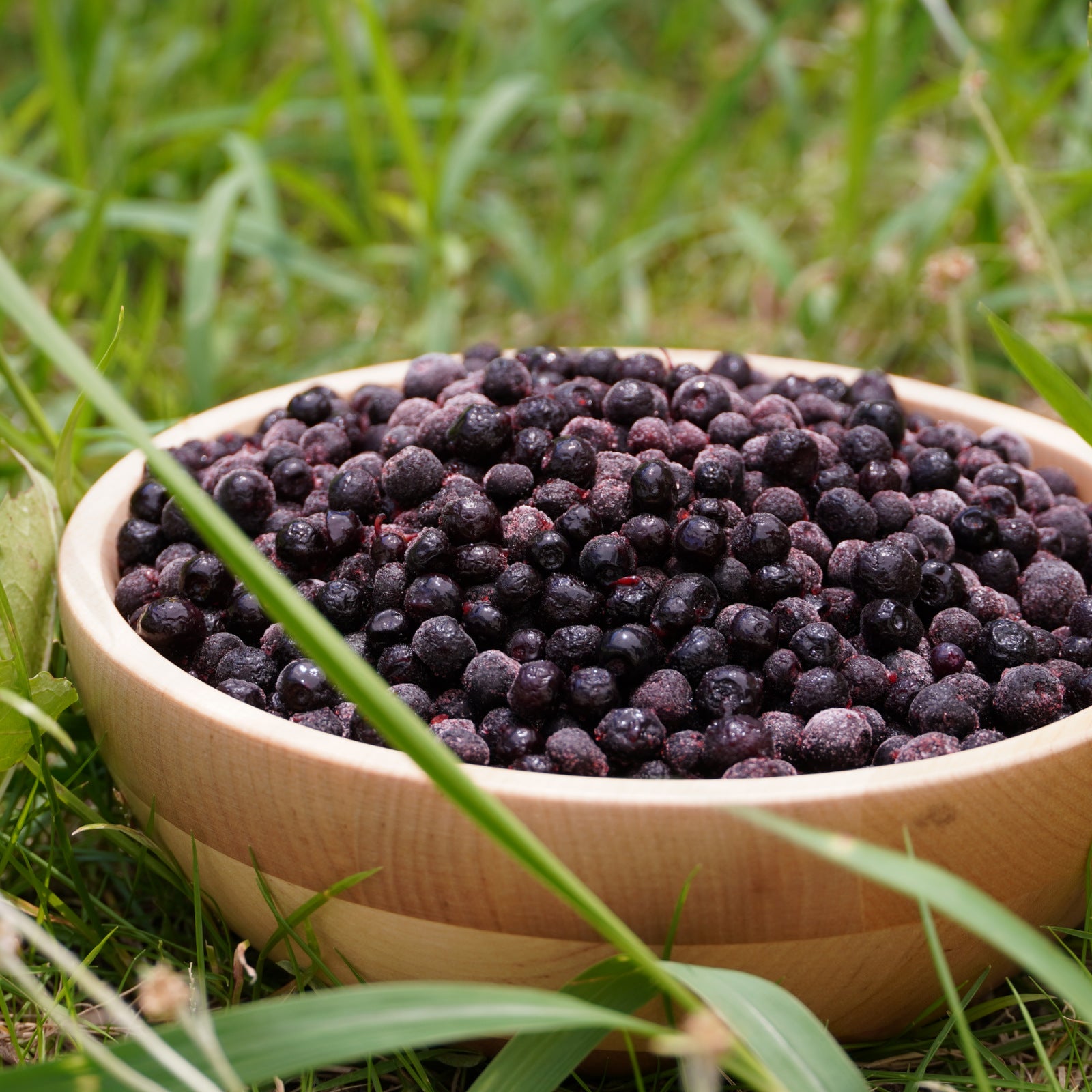 Certified Organic Frozen Forest-Picked Wild Blueberries from Sweden (1kg) - Horizon Farms