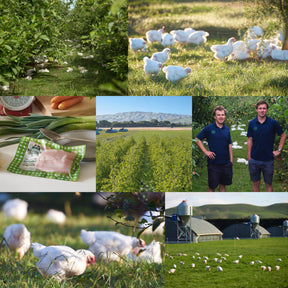 New Zealand Certified Organic Free-Range Chicken Boneless Thighs (500g) - Horizon Farms