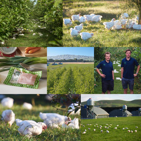 New Zealand Certified Organic Free-Range Chicken Thigh Mince (500g) - Horizon Farms