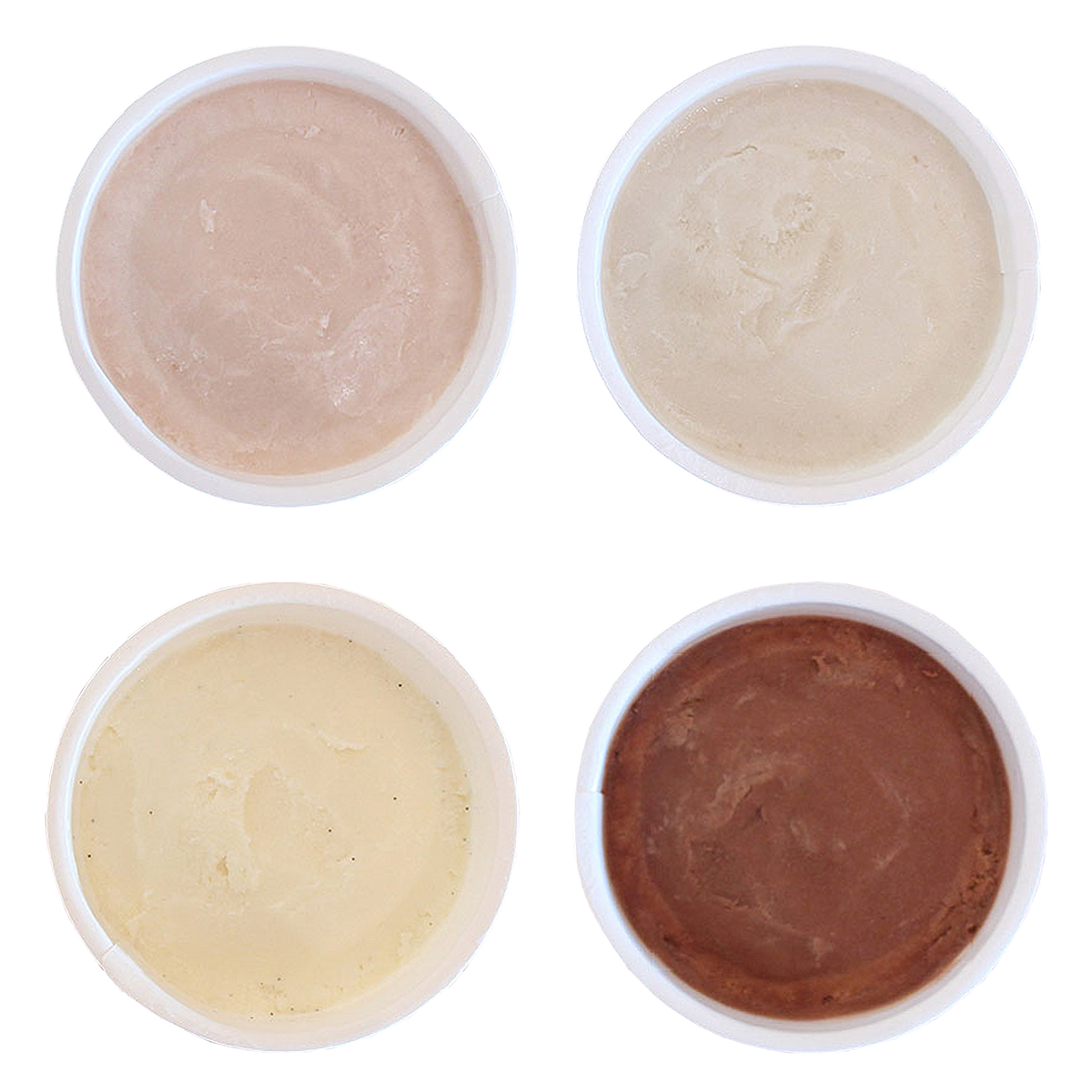 Certified Organic Dairy-Free Ice Cream Gelato Mix Set (100ml x 4 - 6) - Horizon Farms