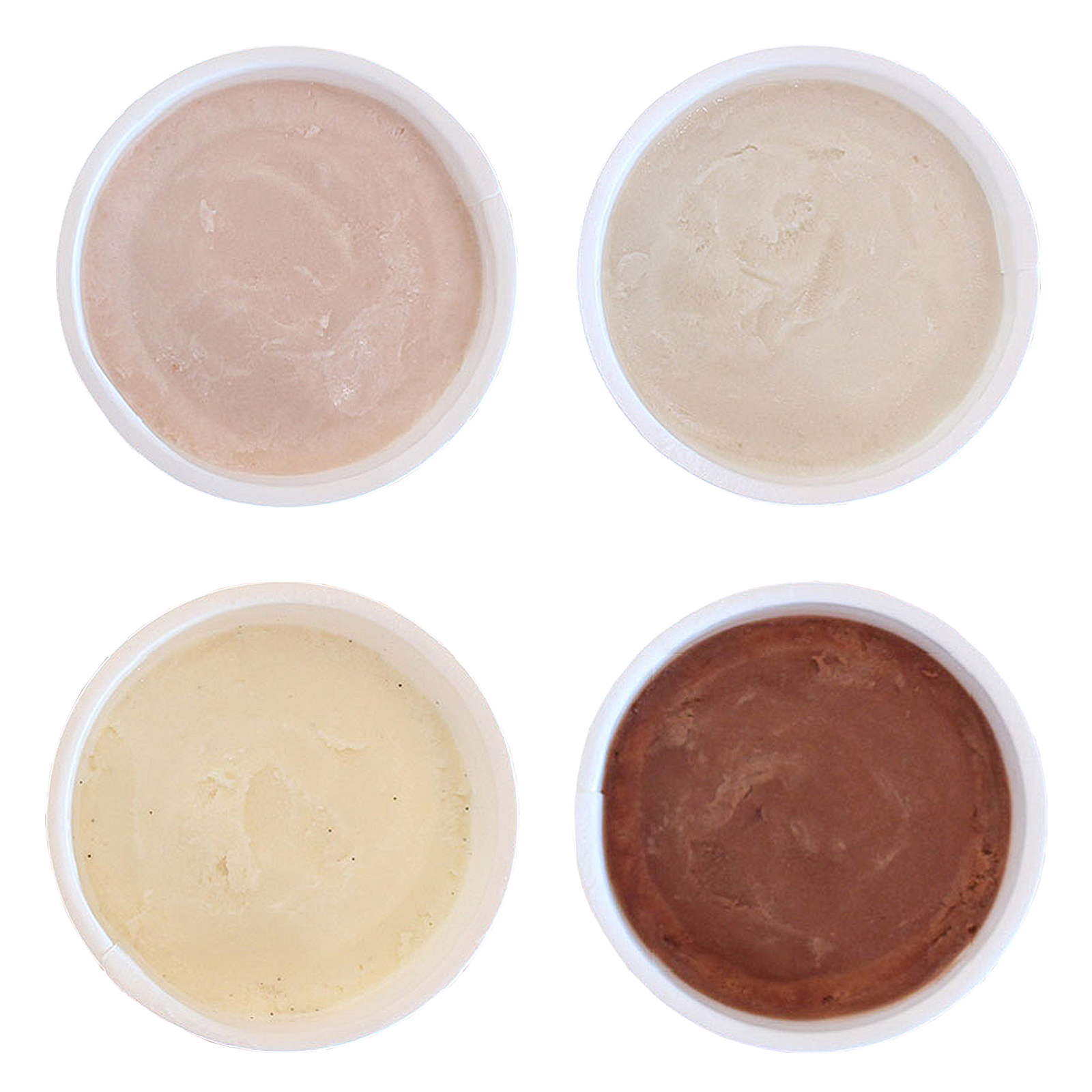 Certified Organic Dairy-Free Ice Cream Gelato Mix Set (100ml x 4 - 6) - Horizon Farms