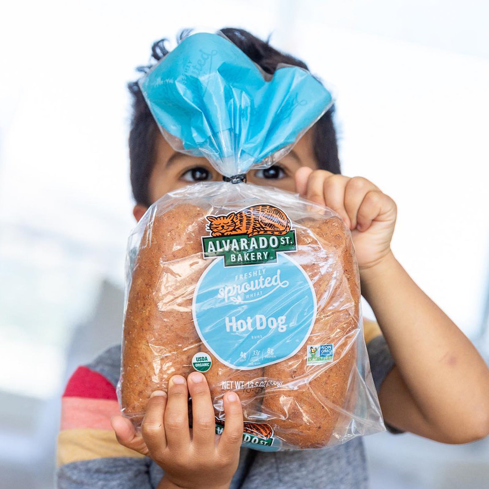 Certified Organic Sprouted Wheat Hot Dog Buns from California (6pc) - Horizon Farms