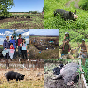 Free-Range Kurobuta Coarse Ground Pork (300g) - Horizon Farms