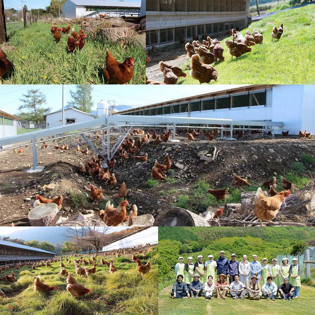 Certified Organic Free-Range Eggs from Japan (12 Eggs) (Terms & Conditions Apply) - Horizon Farms