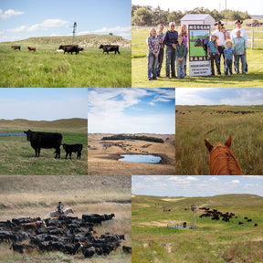 Morgan Ranch USDA Prime Chuck Slices for Shabu Shabu (300g) - Horizon Farms