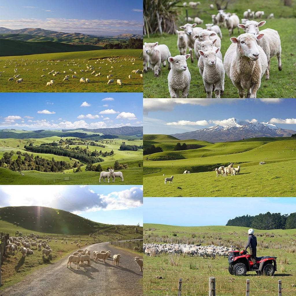 Free-Range Lamb Bone-In Leg from New Zealand (2kg) - Horizon Farms