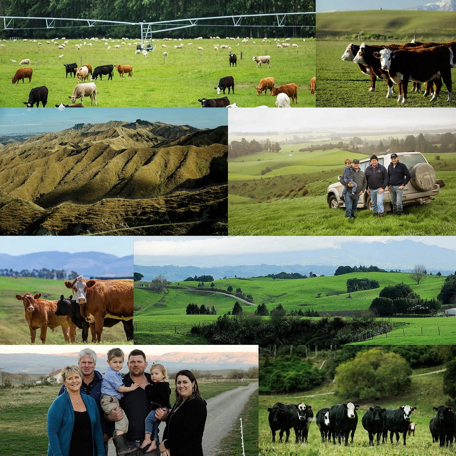 Grass-Fed Beef Teres Major / Petite Tender Slices from New Zealand (300g) - Horizon Farms