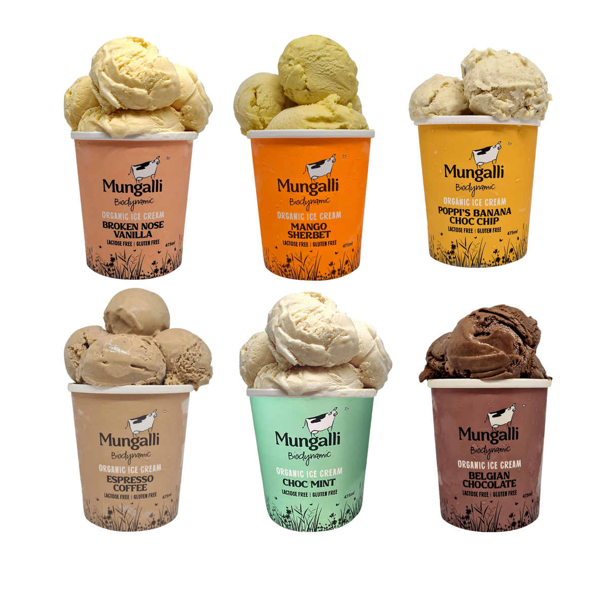 Certified Organic Lactose-Free Ice Cream Mix Set from Australia (6 x 475ml) - Horizon Farms